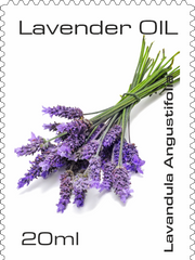 Load image into Gallery viewer, MONTE ALBERTO | Lavandula angustifolia | Pure Essence | Made in Germany | 20 ml