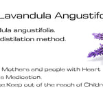 Load image into Gallery viewer, MONTE ALBERTO | Lavandula angustifolia | Pure Essence | Made in Germany | 20 ml
