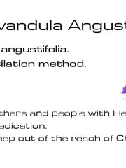 Load image into Gallery viewer, MONTE ALBERTO | Lavandula angustifolia | Pure Essence | Made in Germany | 20 ml
