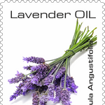 Load image into Gallery viewer, MONTE ALBERTO | Lavandula angustifolia | Pure Essence | Made in Germany | 10 ml
