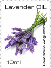 Load image into Gallery viewer, MONTE ALBERTO | Lavandula angustifolia | Pure Essence | Made in Germany | 10 ml
