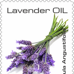 Load image into Gallery viewer, MONTE ALBERTO | Lavandula angustifolia | Pure Essence | Made in Germany | 20 ml
